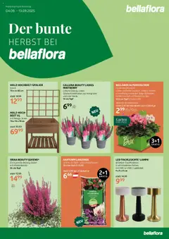 Vorschau der Angebote: bellaflora Flugblatt gültig ab 04.09.2025