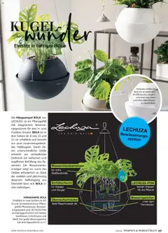 Vorschau der Angebote: Dehner Flugblatt gültig ab 10.10.2025 | Seite: 69