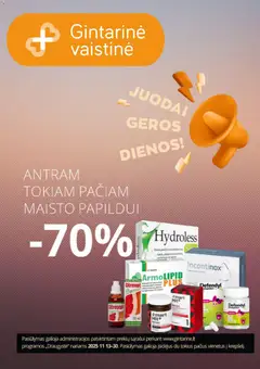 Gintarinė parduotuvės leidinio Black Friday galiojančio nuo 2025.11.13 peržiūra