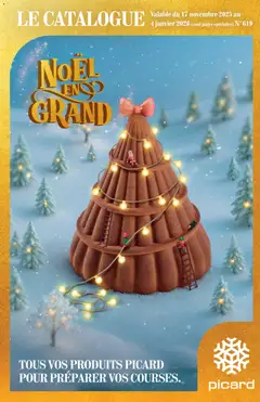 Prévisualisation de Noël en grand du magasin Picard formulaire valide 17/11/2025