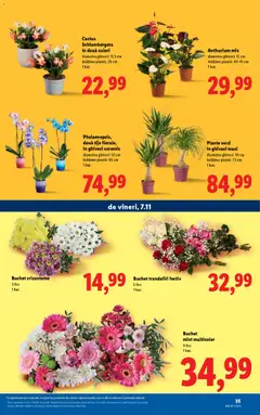 Previzualizarea de cataloage: Lidl Catalog nou valabil de la 03.11.2025 | Pagina: 35