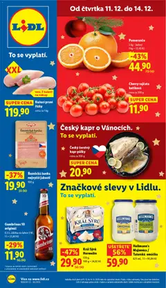 Náhled nabídky: Lidl Leták platný od 11.12.2025