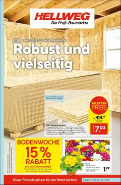 Vorschau der Angebote: HELLWEG Ried gültig ab 19.01.2026