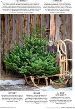 Vorschau der Angebote: Dehner Flugblatt gültig ab 10.10.2025 | Seite: 65