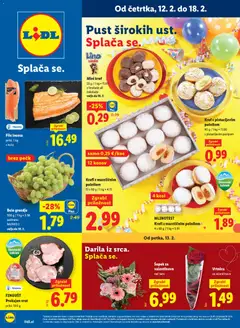 Predogled kataloga iz trgovine Lidl veljaven od 12.02.2026