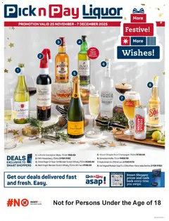 Preview of Pick n Pay flyer valid from 25/11/2025
