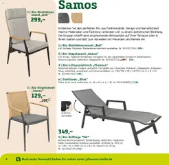 Vorschau von dem Prospekt des Geschäftes Pflanzen-Kölle, gültig ab dem 22.01.2025 | Seite: 4