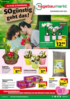 Vorschau der Angebote: Hartlauer Angebote gültig ab 02.02.2026