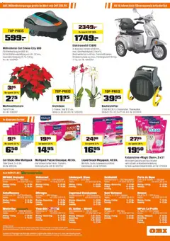 Vorschau des Merkblatts Aktionen vom Shop OBI gültig von 30.11.2025 bis 20.12.2025 | Seite: 16