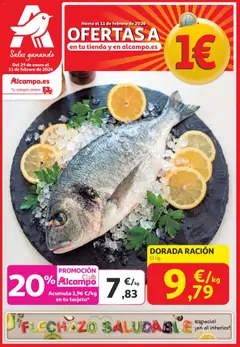 Vista previa del folleto de la tienda Alcampo válido desde el 29/01/2026 