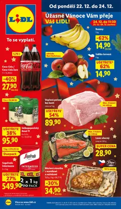 Náhled nabídky: Lidl Leták platný od 22.12.2025