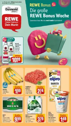 Vorschau von dem Prospekt des Geschäftes Rewe, gültig ab dem 13.10.2025