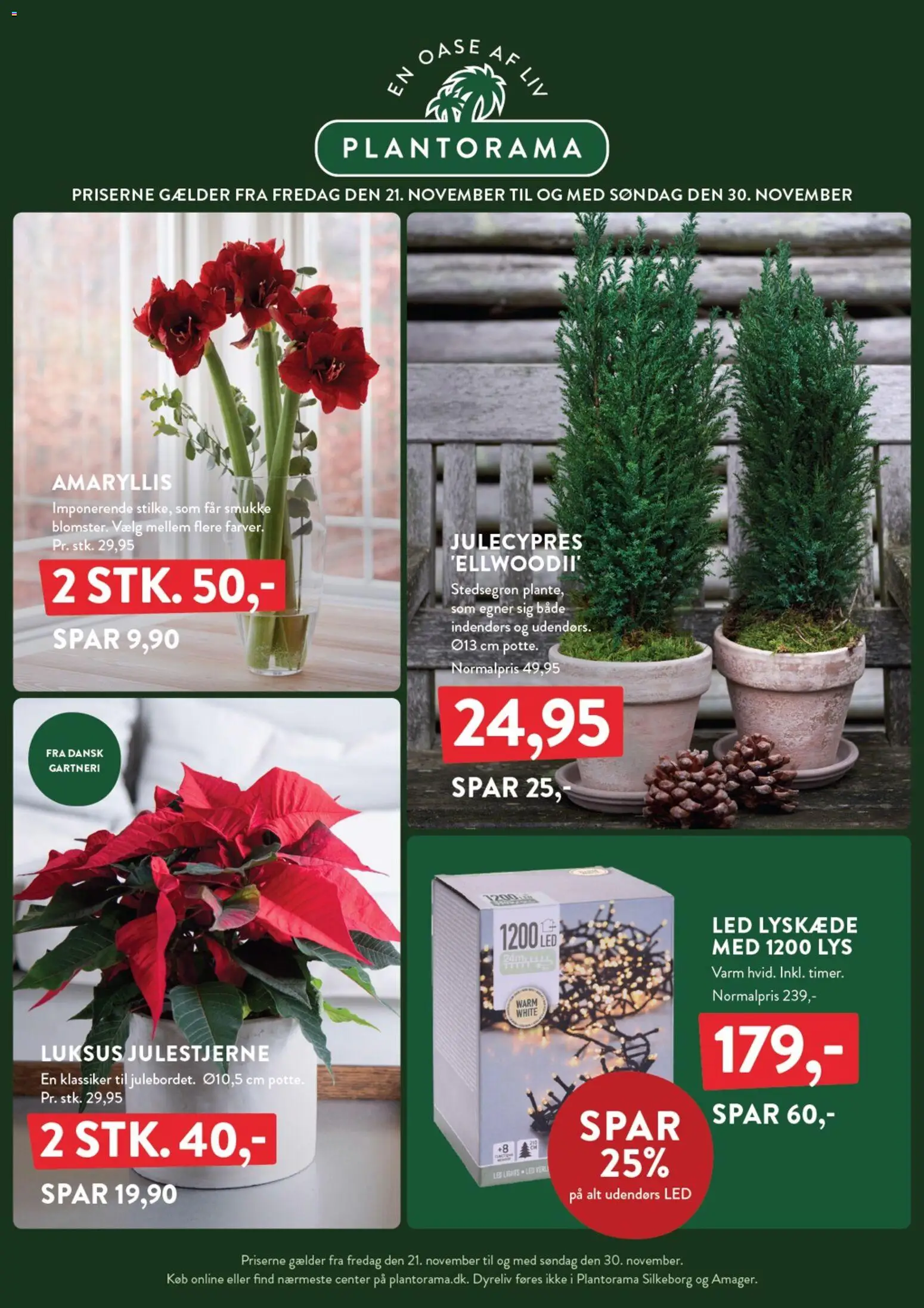 Eksempel på tilbudsavis Tilbudsavis fra butik Plantorama gyldig fra 21/11/2025