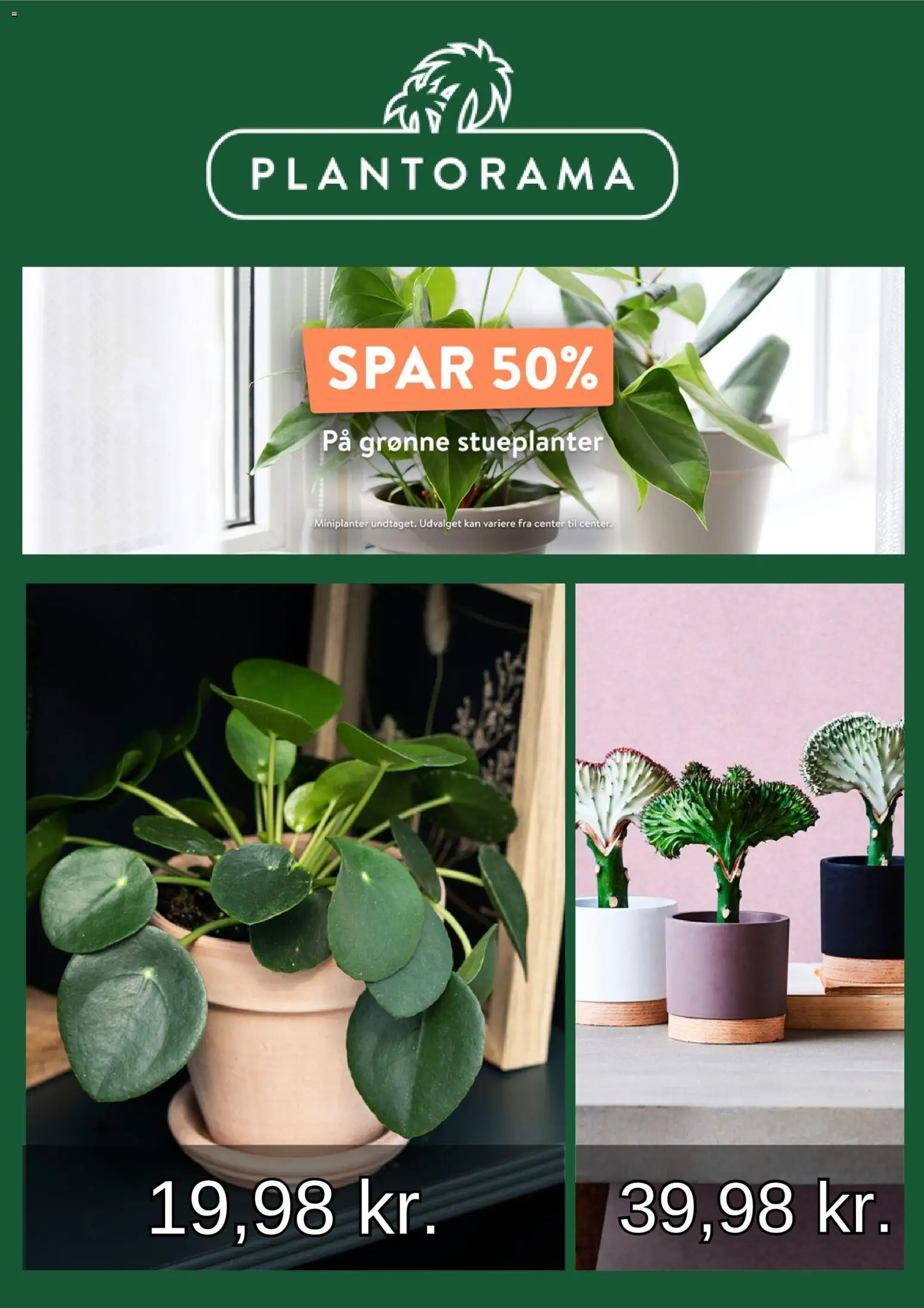 Eksempel på tilbudsavis Tilbudsavis fra butik Plantorama gyldig fra 01/01/2026