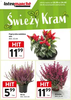 Pogląd gazetki "Świeży Hit" ze sklepu Intermarche ważnej od 18.09.2025