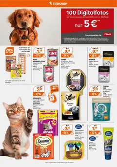 Vorschau von dem Prospekt des Geschäftes Müller, gültig ab dem 01.12.2025 | Seite: 10