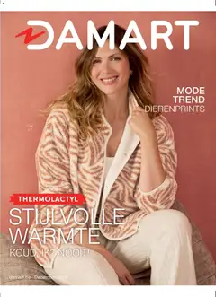 Prévisualisation de Folder du magasin Damart formulaire valide 01/12/2025