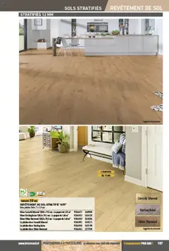 Prévisualisation de Catalogue du magasin Brico Cash formulaire valide 04/04/2025 | Page: 107