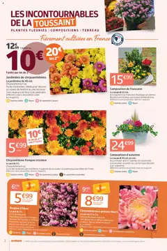 Prévisualisation de Catalogue du magasin Jardiland formulaire valide 22/10/2025 | Page: 2