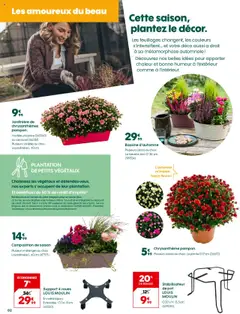 Prévisualisation de Catalogue du magasin Truffaut formulaire valide 17/10/2025 | Page: 2