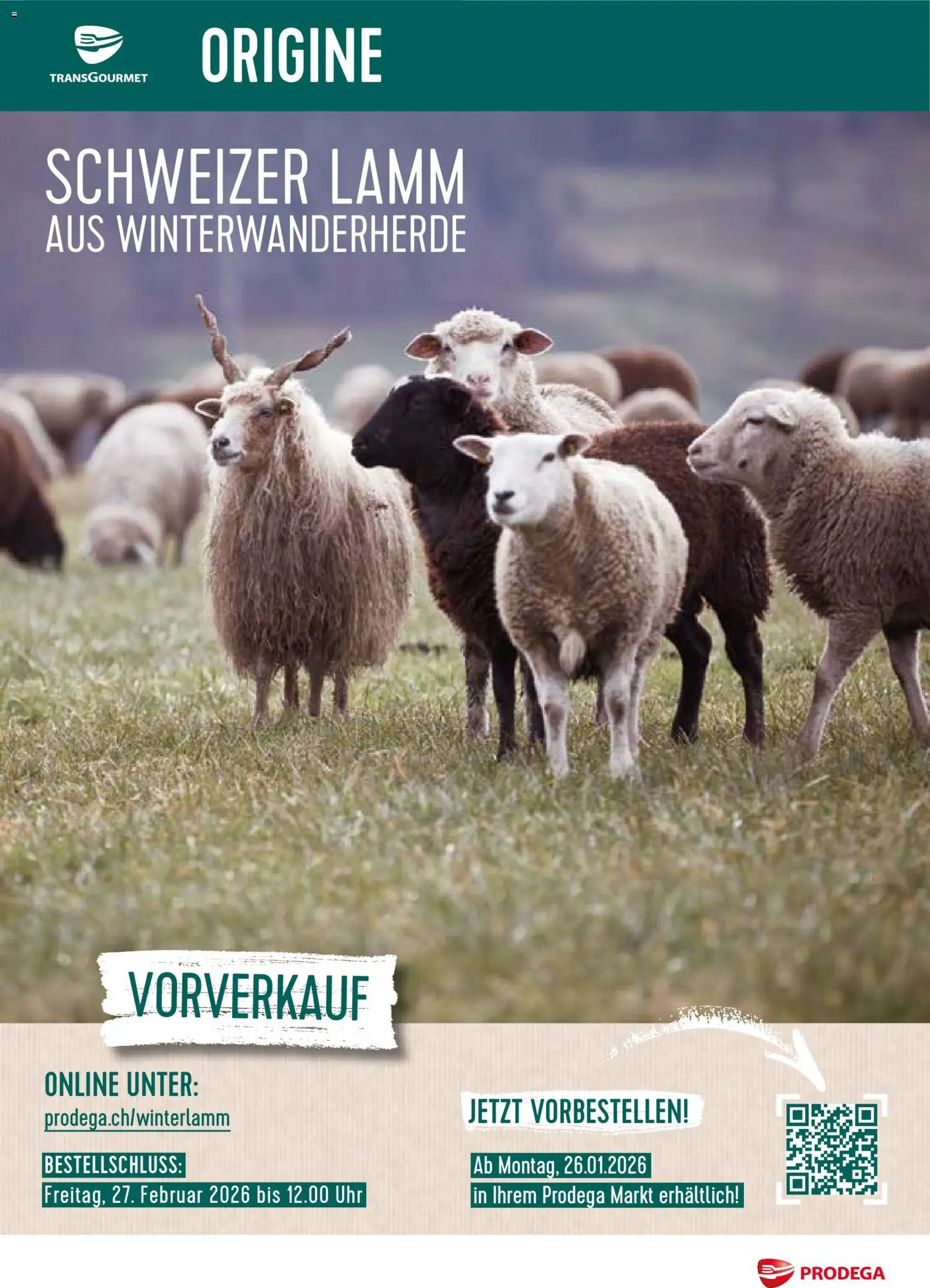 Vorschau des Merkblatts Aktionen Schweizer Lamm vom Shop Prodega gültig von 26.01.2026 bis 27.02.2026 - Uhr