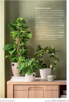 Vorschau der Angebote: Dehner Flugblatt gültig ab 10.10.2025 | Seite: 75