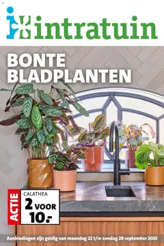 Voorbeeld van Folder van winkel Intratuin geldig vanaf 22-09-2025