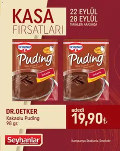 Seyhanlar Market Kasa Fırsatları 22.09.2025 - Broşürünün önizlemesi