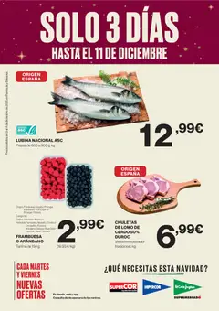 Vista previa del folleto de la tienda El Corte Inglés válido desde el 09/12/2025 