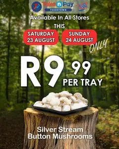 Preview of Take n Pay flyer valid from 23/08/2025