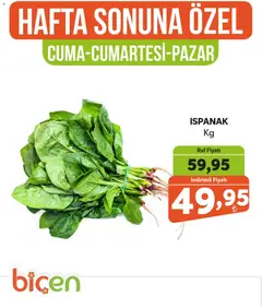 Biçen Market Hafta Sonuna Özel - Sebze İndirimi 23.01.2026 - Broşürünün önizlemesi