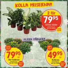 Förhandsgranska reklamblad Aktuella reklamblad EKO från butik EKO gäller från 11/08/2025