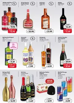 Vorschau der Angebote: Travel FREE Flugblatt gültig ab 28.11.2025 | Seite: 3