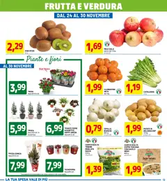 Anteprima dell'opuscolo Black Friday dal negozio D Più valido da 17/11/2025 | Pagina: 13