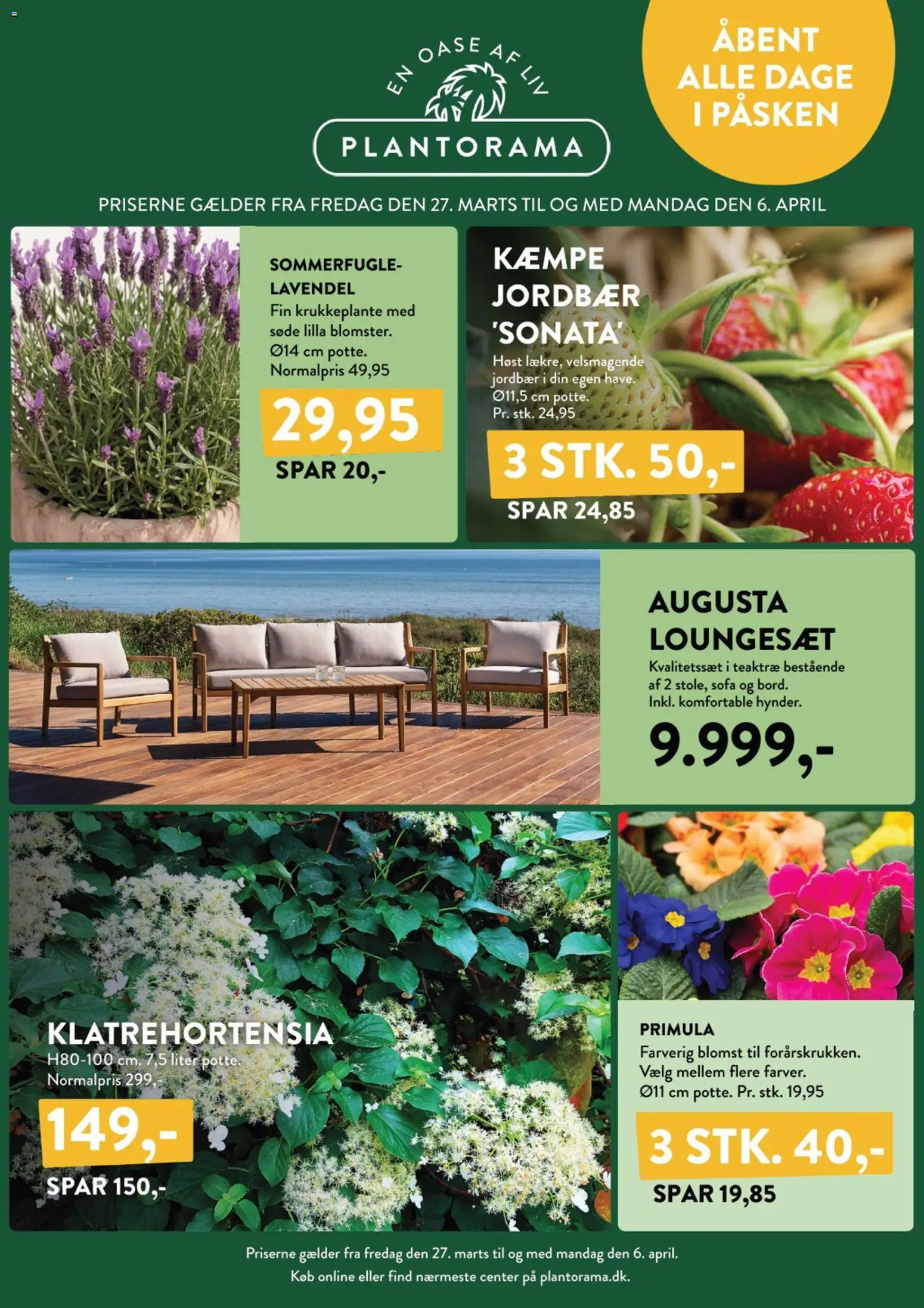 Eksempel på tilbudsavis Plantorama - Tilbudsavis fra butik Plantorama gyldig fra 27/03/2026 - Sofa, Loungesæt, Jordbær