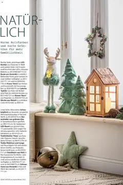 Vorschau der Angebote: Dehner Flugblatt gültig ab 10.10.2025 | Seite: 41