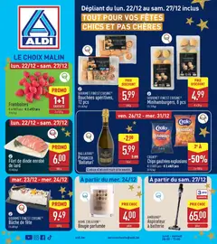 Prévisualisation de Folder de la semaine 51 du magasin Aldi formulaire valide 22/12/2025