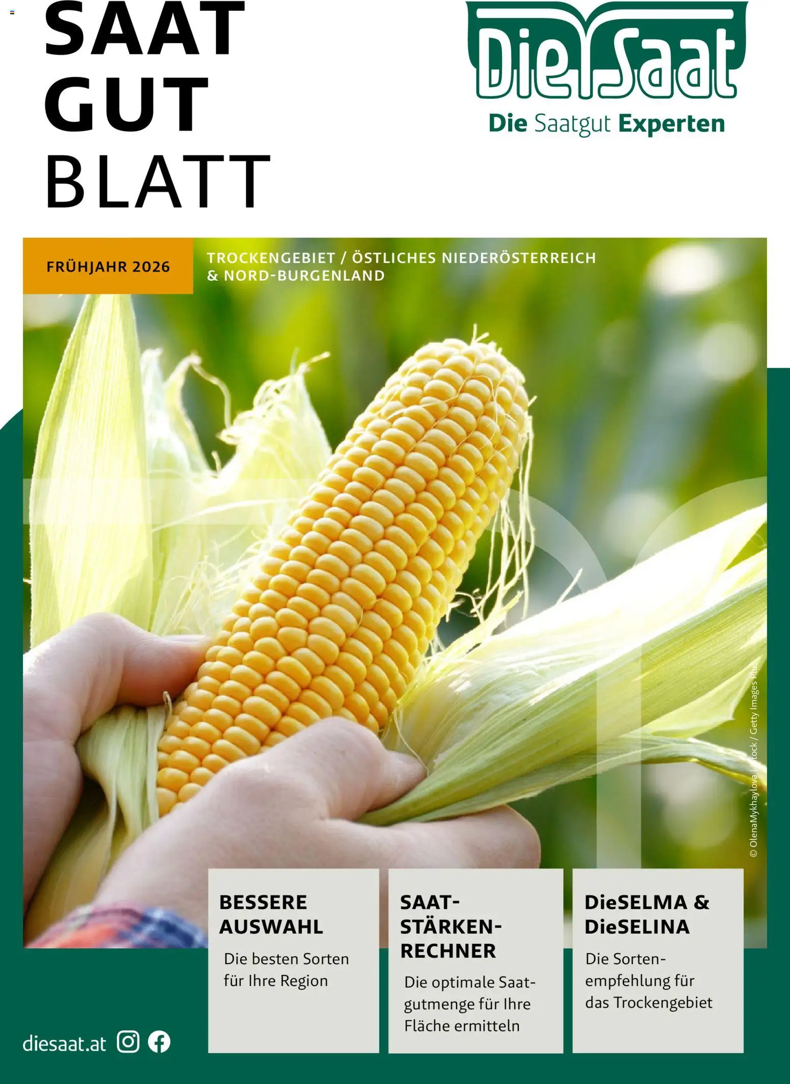 Vorschau der Angebote: Lagerhaus Frühjahr 2026 Östliches Niederösterreich gültig ab 01.03.2026