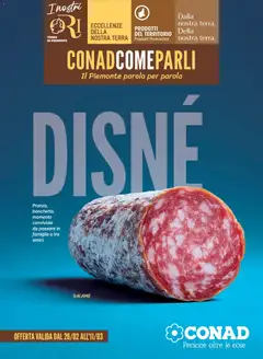 Anteprima dell'opuscolo Volantino Disné Piemonte dal negozio Conad valido da 26/02/2026