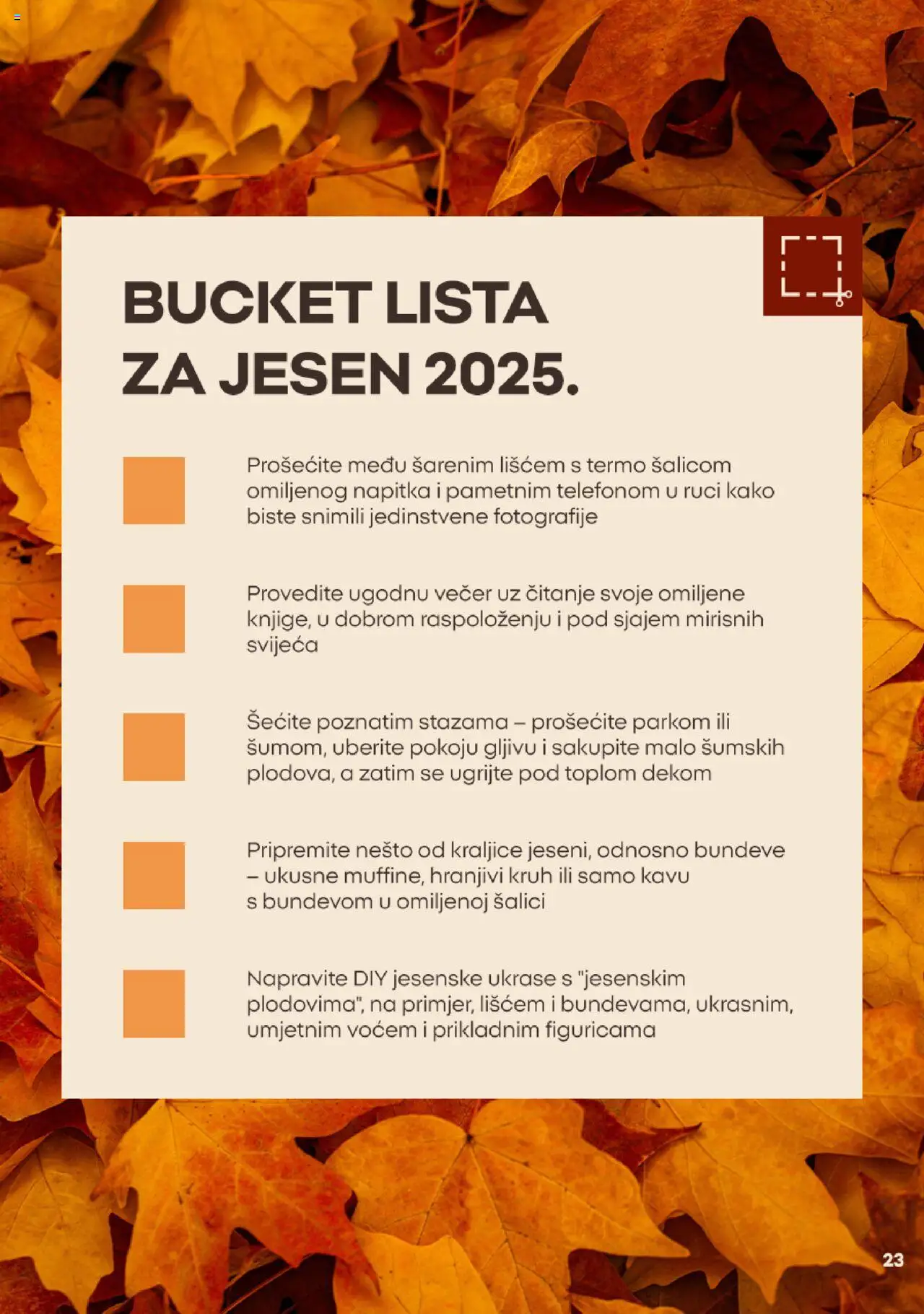 Pregled letka Katalog trgovine Pepco vrijedi od 2025.10.01