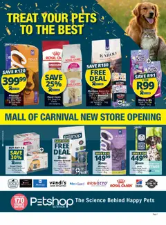 Preview of Checkers flyer valid from 20/02/2026