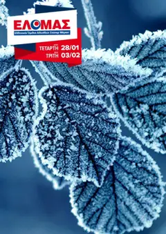 Preview of leaflet Φυλλάδιο from shop ΕΛΟΜΑΣ valid from 28/01/2026