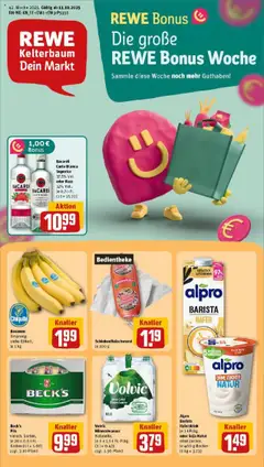 Vorschau von dem Prospekt des Geschäftes Rewe, gültig ab dem 13.10.2025