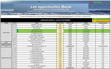 Prévisualisation de Mercuriale opportunites du magasin Promocash formulaire valide 02/09/2025