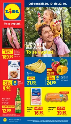 Náhled nabídky: Lidl Leták platný od 20.10.2025