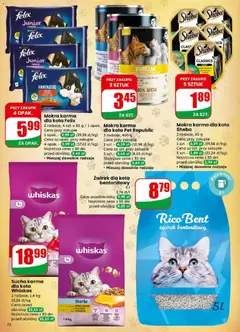 Pogląd gazetki "Gazetka" ze sklepu Dino ważnej od 10.12.2025 | Strona: 72