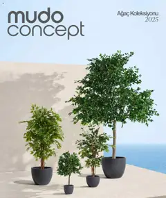 Mudo Katalog - AĞAÇ 2025 01.01.2025 - Broşürünün önizlemesi
