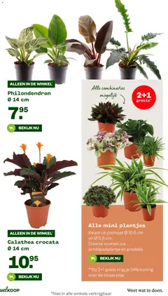 Voorbeeld van Folder van winkel Welkoop geldig vanaf 20-10-2025 | Pagina: 30
