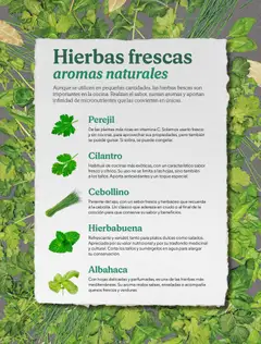 Vista previa del folleto de la tienda Mercadona válido desde el 02/12/2025 | Página: 26