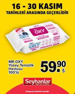 Seyhanlar Market Katalog 16.11.2025 - Broşürünün önizlemesi | Strana: 4